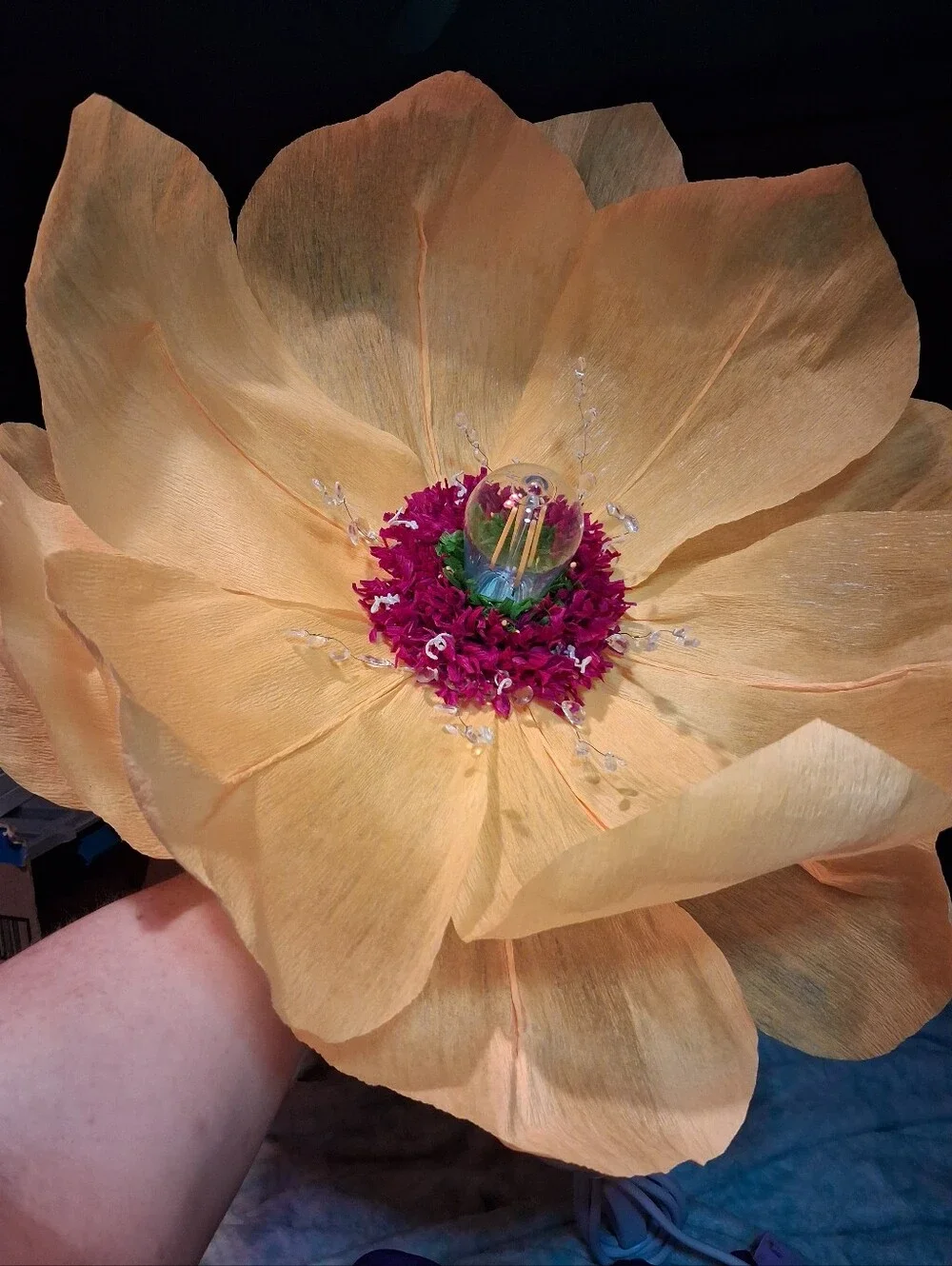 N/A elegant tangerine